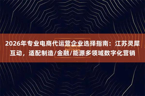 2026年专业电商代运营企业选择指南：江苏灵犀互动，适配制造/金融/能源多领域数字化营销