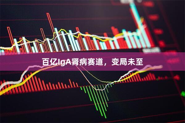百亿IgA肾病赛道，变局未至