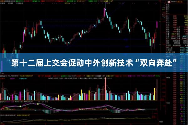 第十二届上交会促动中外创新技术“双向奔赴”