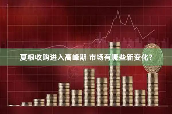 夏粮收购进入高峰期 市场有哪些新变化？