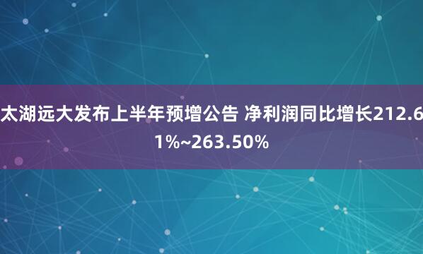 太湖远大发布上半年预增公告 净利润同比增长212.61%~263.50%