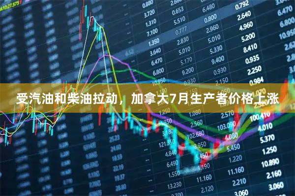 受汽油和柴油拉动，加拿大7月生产者价格上涨